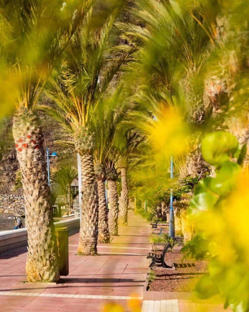El Balcon De Colon Apartment San Sebastian De La Gomera Ngoại thất bức ảnh